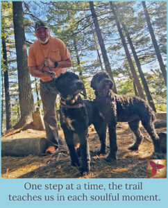 Rich Liotta in woods hiking with his dogs.