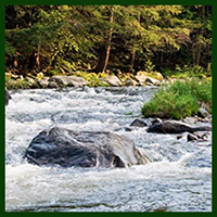 Rock in moving stream inviting exploration and reflection.